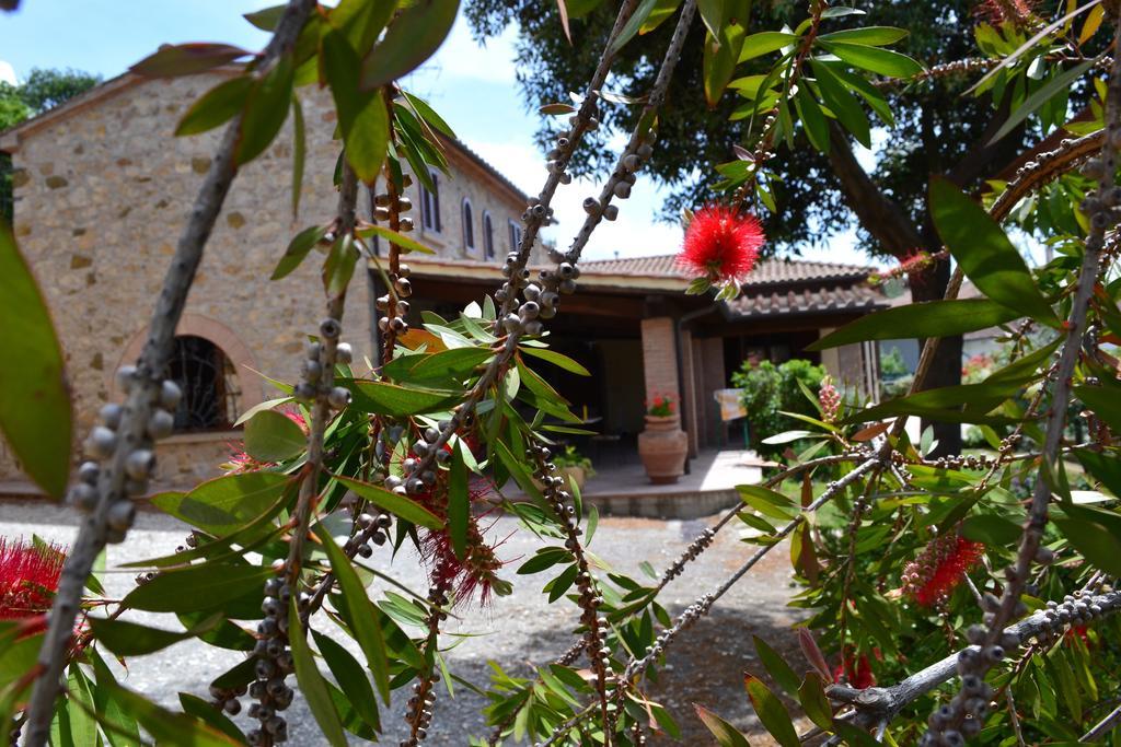 Agriturismo La Ghiraia Santa Luce Quarto foto
