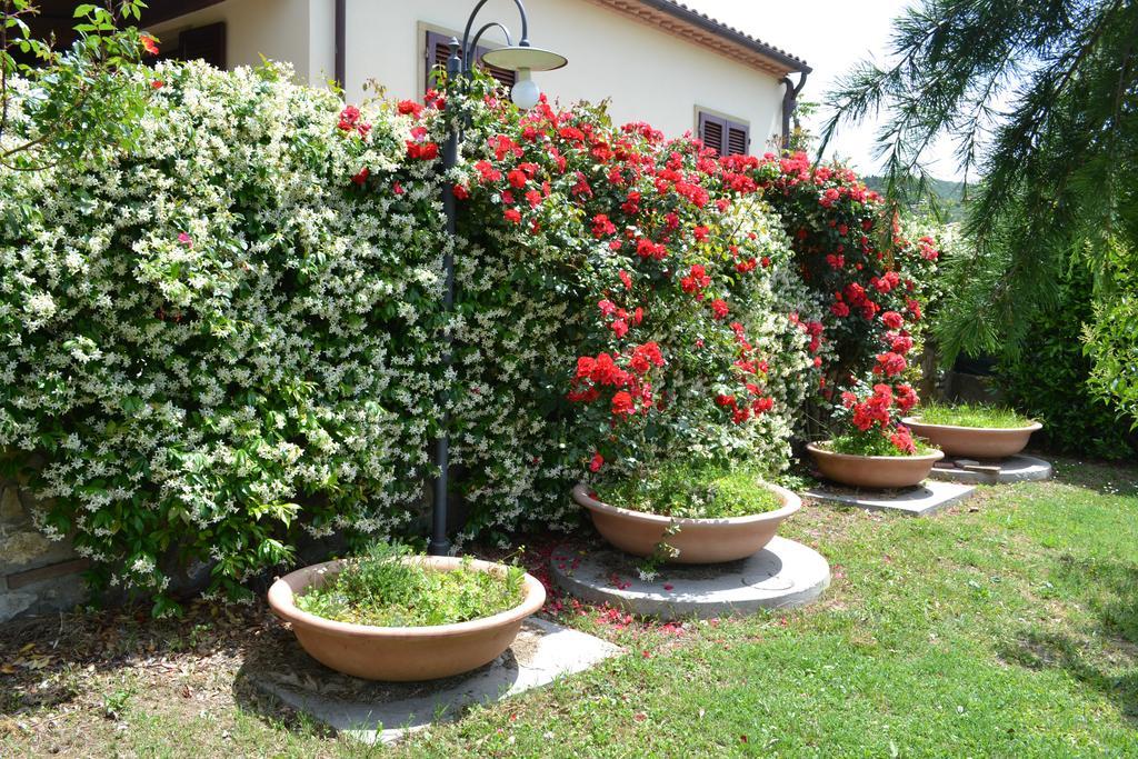 Agriturismo La Ghiraia Santa Luce Exterior foto