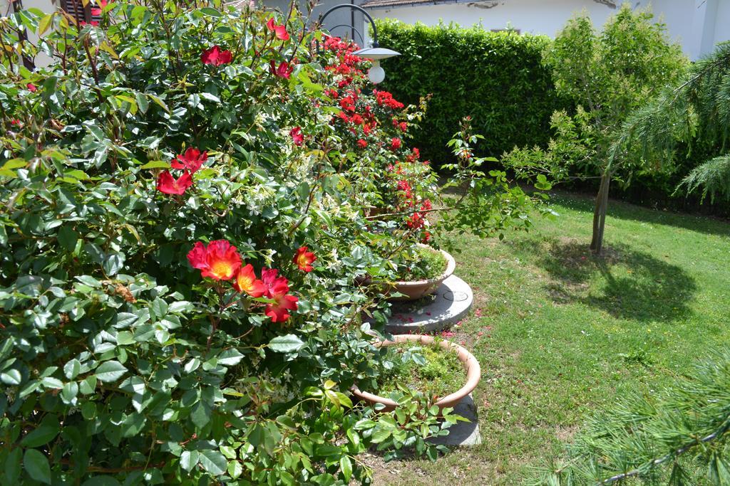 Agriturismo La Ghiraia Santa Luce Exterior foto